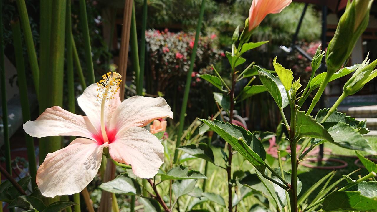 Villa Mimi Otavalo Zewnętrze zdjęcie